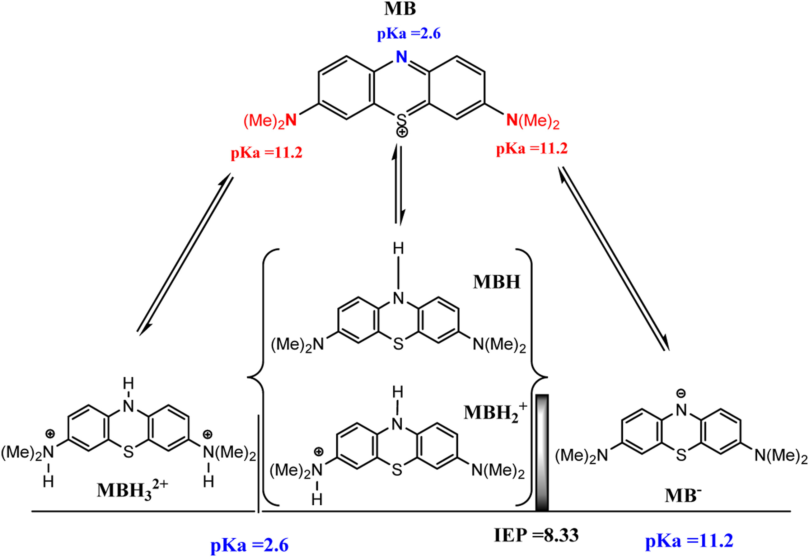 Methylene Blue: Parasitic and Cancer Pathways