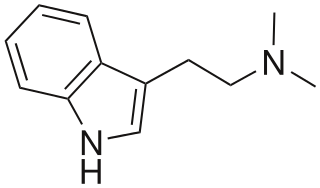 DMT.png (320×188) DMT.png (320×188)