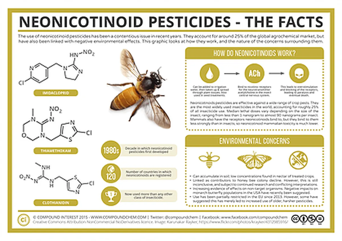 Neonicotinoid Pesticides: Impact on Bees and the Environment Infographic on neonicotinoid pesticides and their impact on bees and the environment.