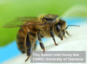 HITACHI-RFID-BEE