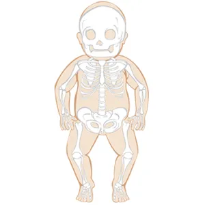 Our Skeletal Heritage | The Daily Dialectics